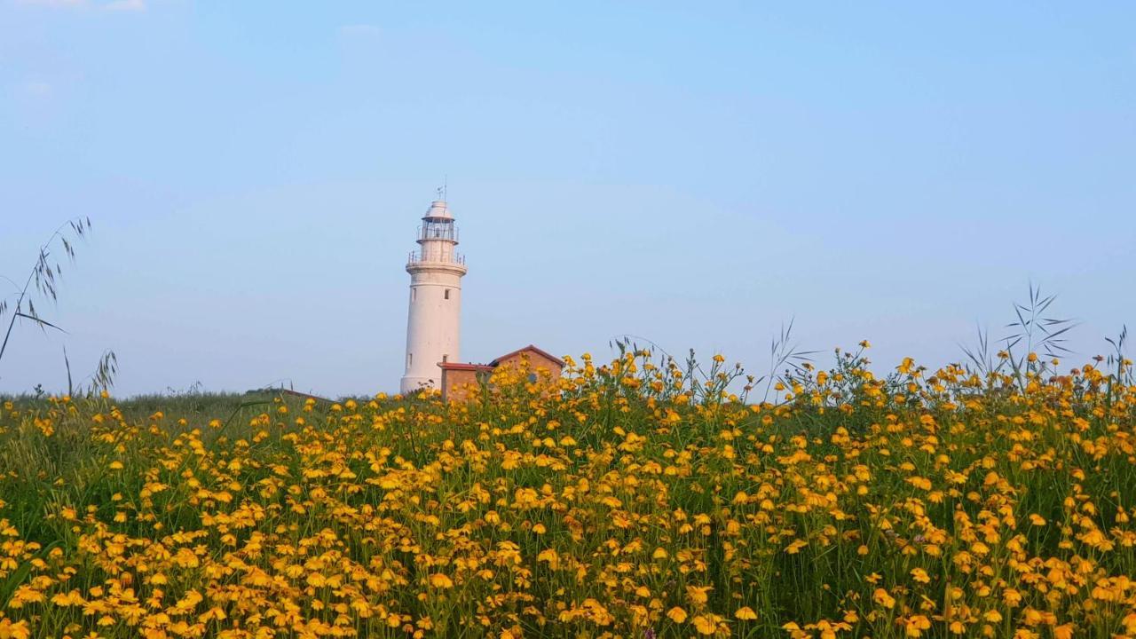 Dahan Sirena Lighthouse Luxury Apartment Paphos Exteriör bild