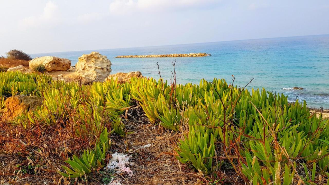 Dahan Sirena Lighthouse Luxury Apartment Paphos Exteriör bild